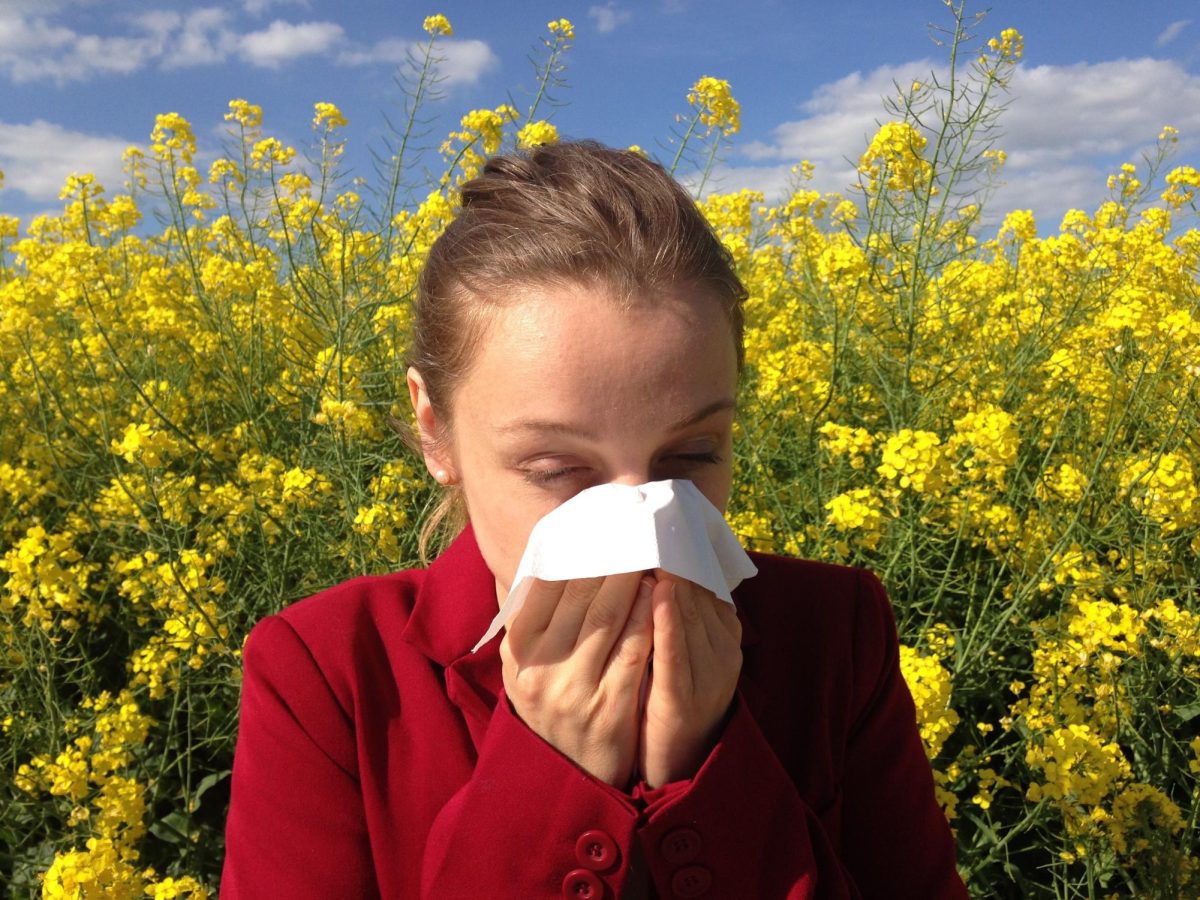 City of Tree Pollen: Why Your Allergies Keep Getting&nbsp;Worse