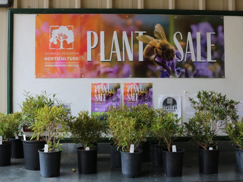 From Seed to Sale: Horticulture at&nbsp;ARC